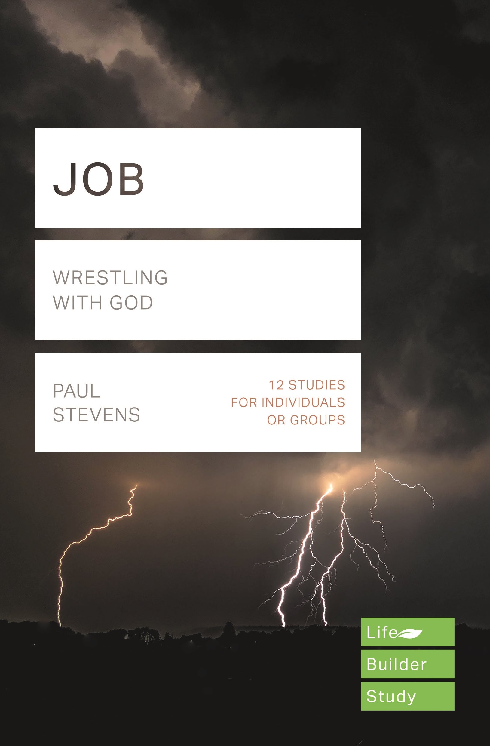 Image of Lifebuilder Bible Study: Job other