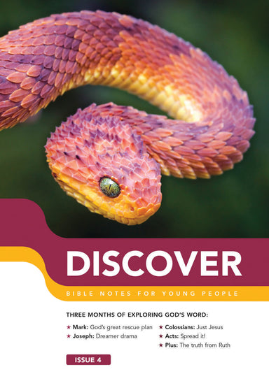 Image of Discover: Book 4 other
