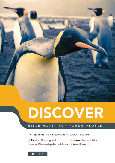 Image of Discover: Book 6 other