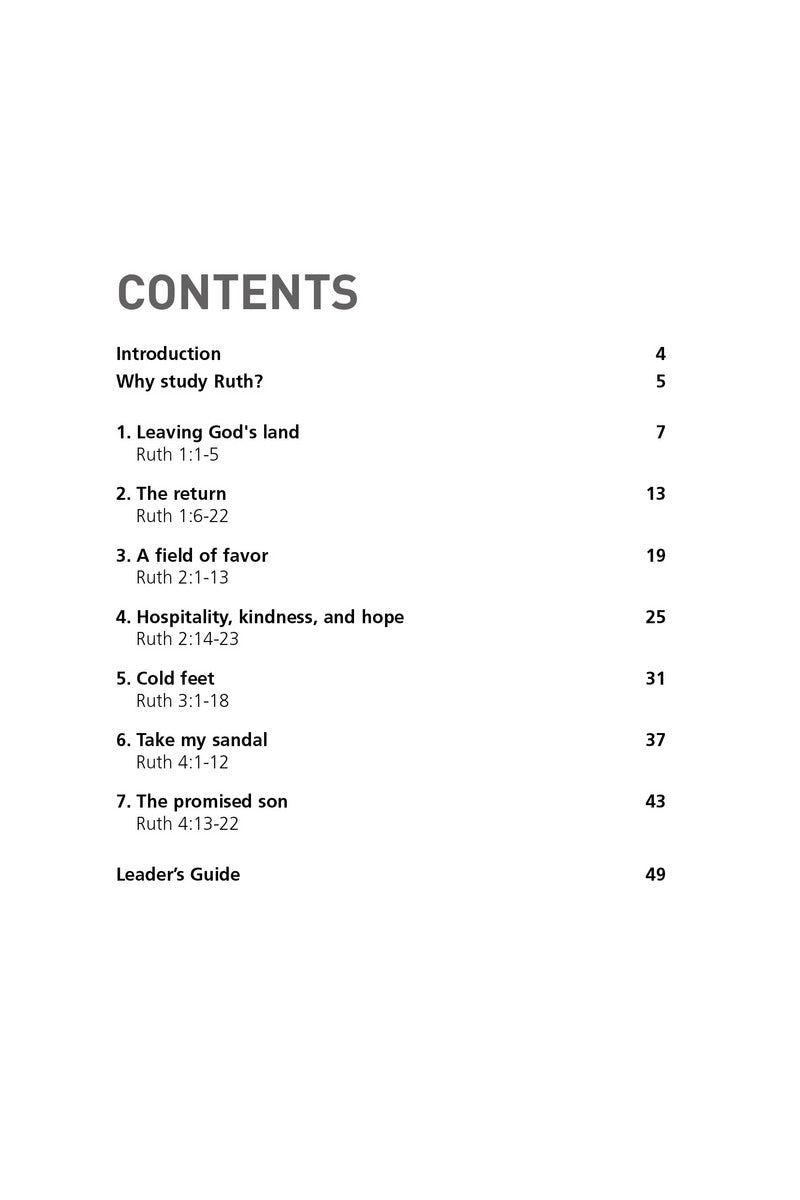 Image of Ruth: The Lord Provides other