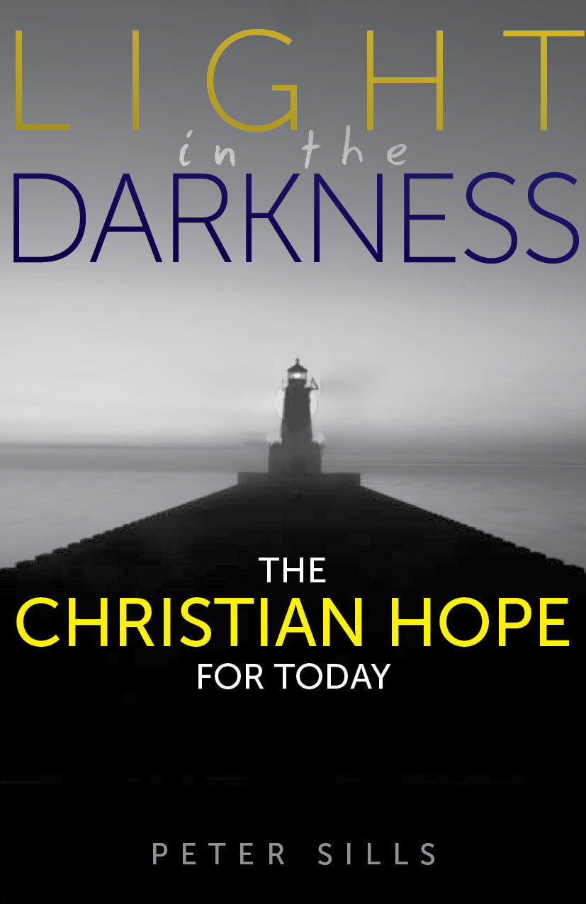 Image of Light in the Darkness other