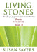 Image of Living Stones: Rocks (Age 6-10), Year B other