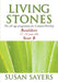 Image of Living Stones: Boulders (11-14), Year B other