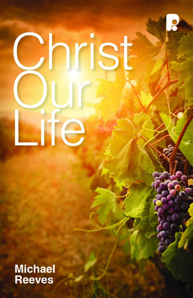Image of Christ Our Life other