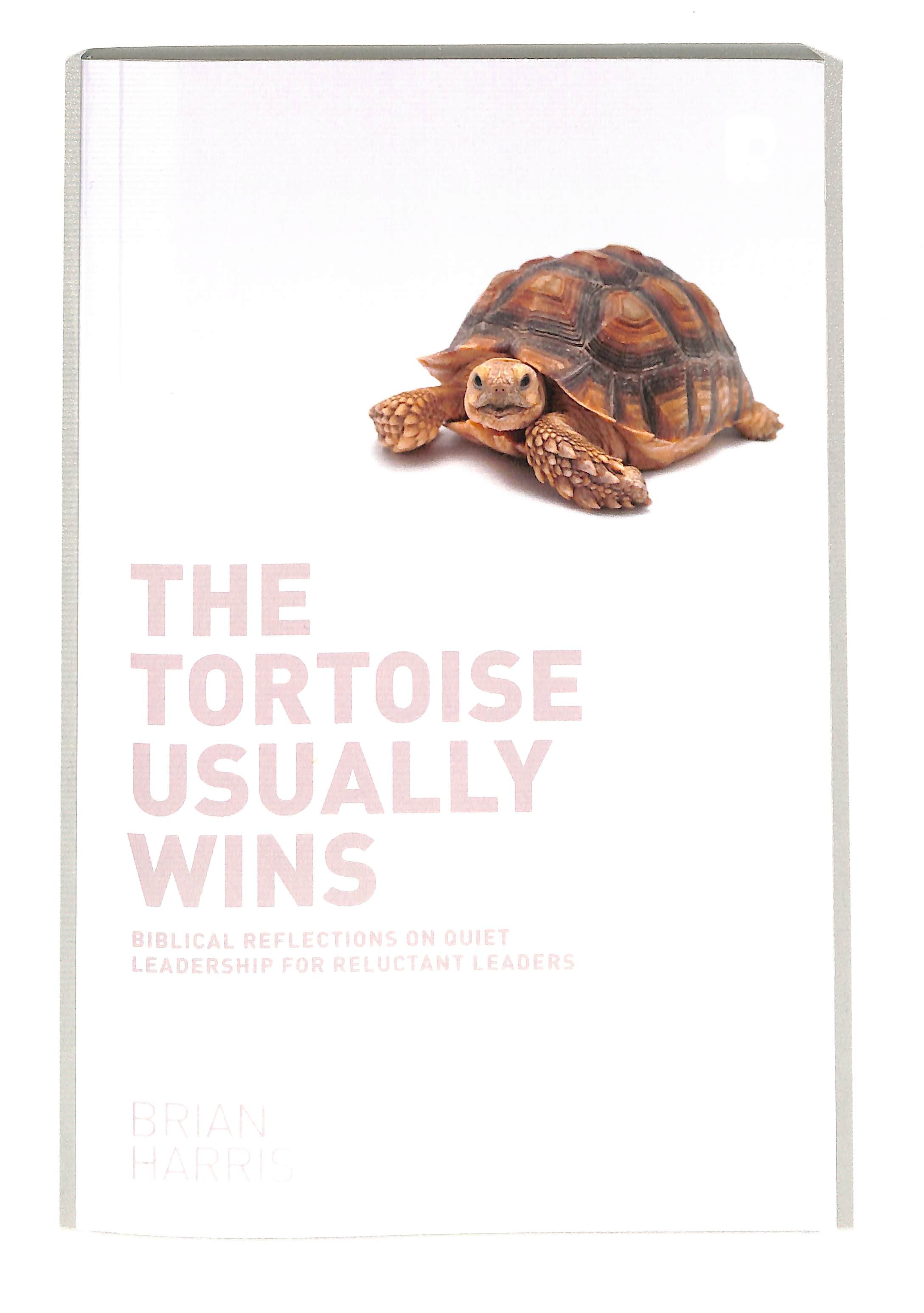 Image of The Tortoise Usually Wins  other