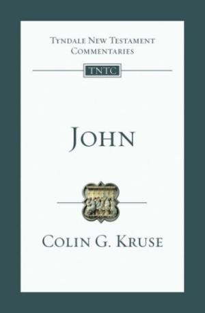 Image of John : Tyndale New Testament Commentaries other