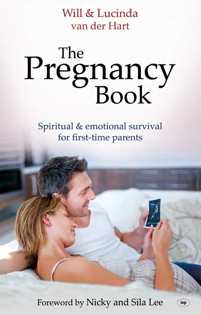 Image of The Pregnancy Book other