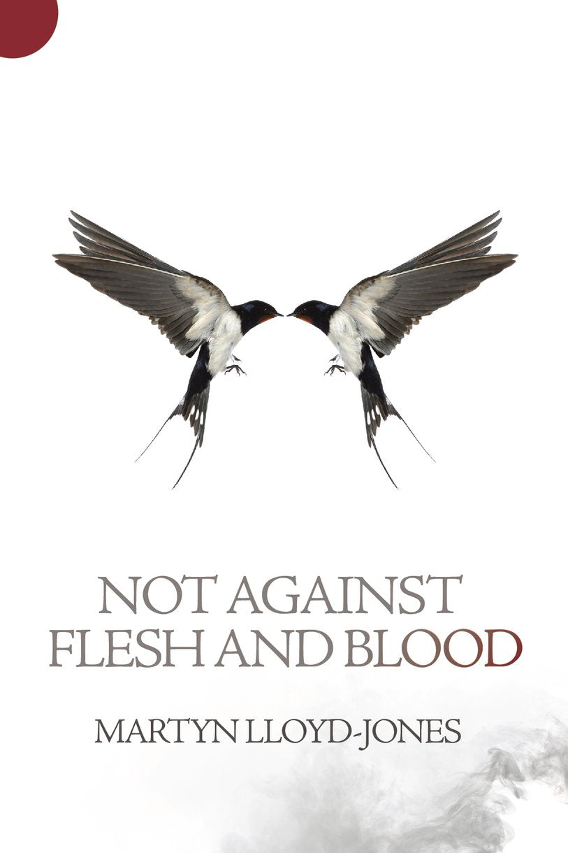 Image of Not Against Flesh And Blood other