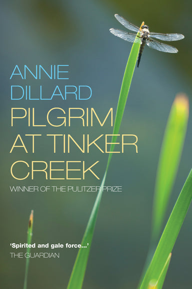Image of Pilgrim At Tinker Creek other