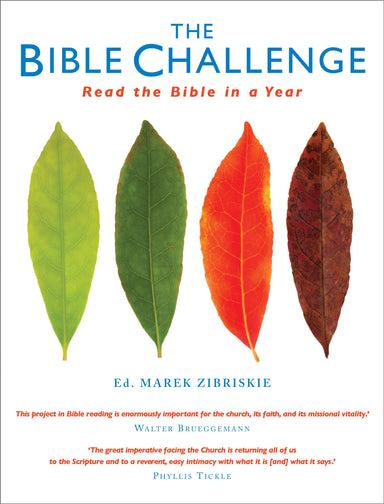 Image of The Bible Challenge other