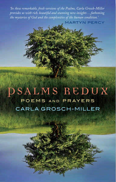 Image of Psalms Redux other