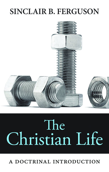Image of The Christian Life other