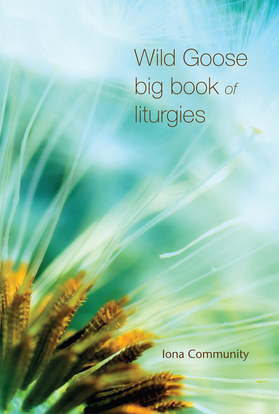 Image of Wild Goose Big Book of Liturgies other