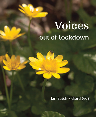 Image of Voices Out of Lockdown other