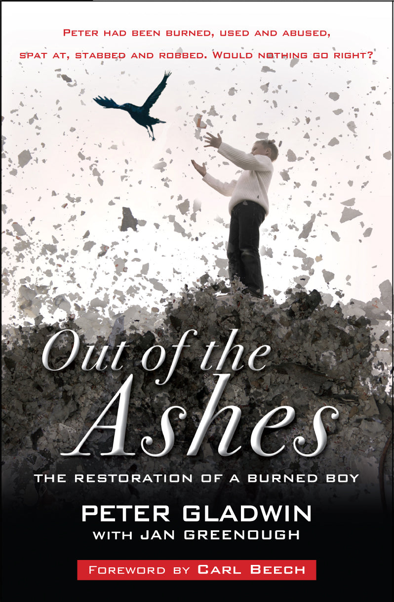 Image of Out of the Ashes other