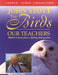 Image of Birds Our Teachers - Cassette Tape  other