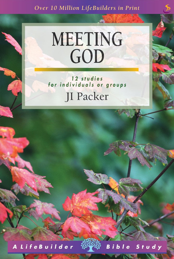 Image of Lifebuilder Bible Study: Meeting God other