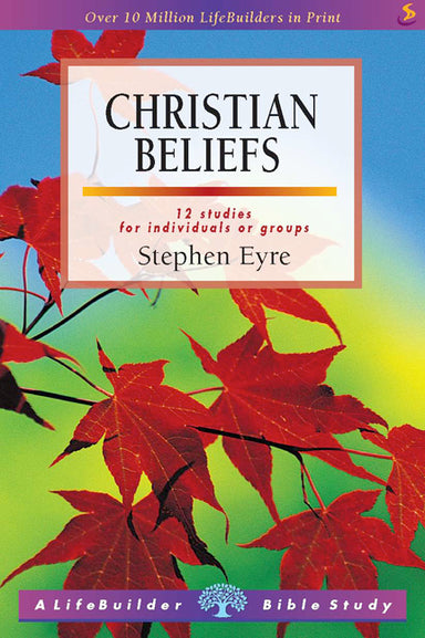 Image of Lifebuilder Bible Study: Christian Beliefs other