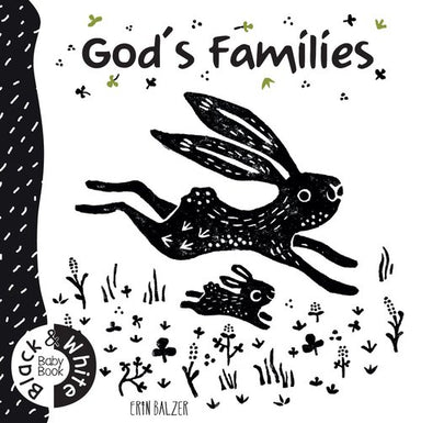 Image of God's Families: Black And White Baby Book other