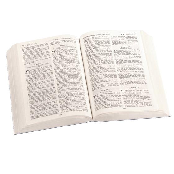 Image of KJV Royal Ruby Text Bible: Blue, Vinyl paperback other