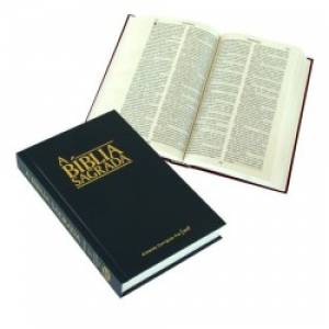 Image of Portuguese Bible other