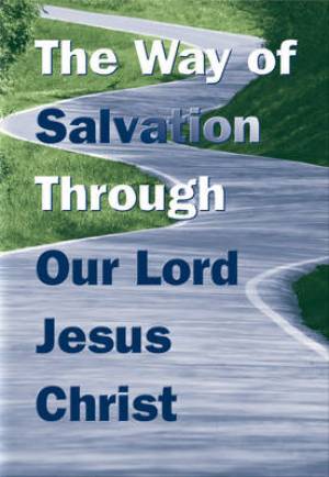 Image of Way Of Salvation Med Tracts Mtb12 other