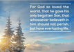 Image of Greetings Cards: For God so loved the world - John 3.16 other