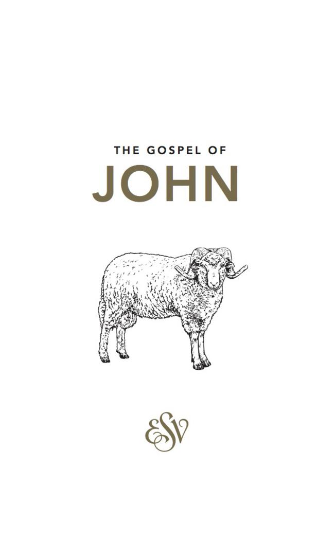 Image of ESV Gospel of John other