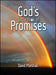 Image of God's Little Book of Promises other