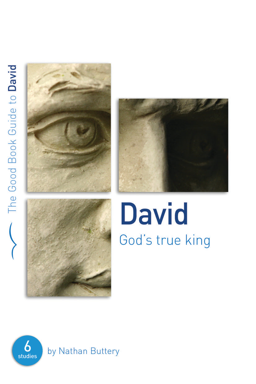 Image of David: God's True King other