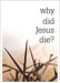 Image of Why Did Jesus Die? other