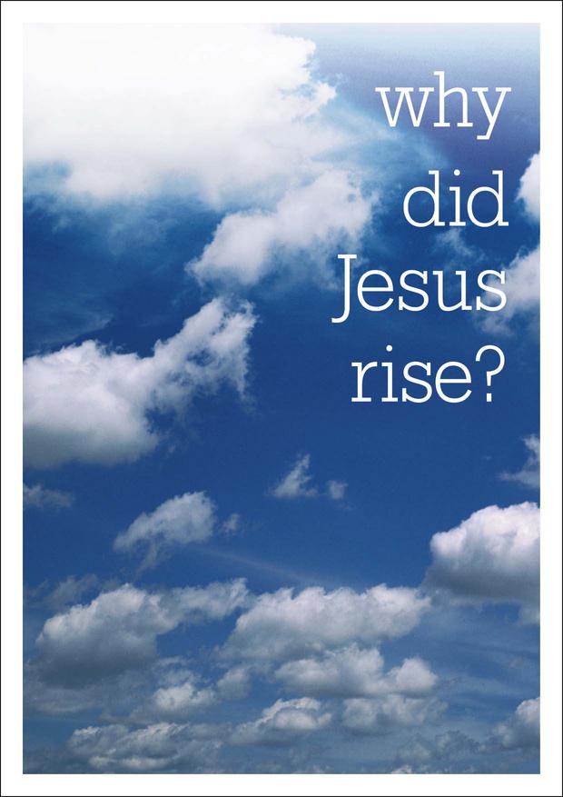Image of Why Did Jesus Rise? other
