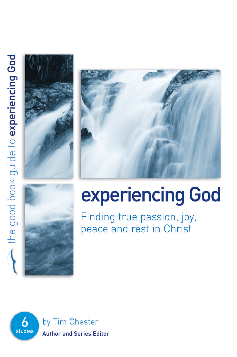 Image of Experiencing God : Finding true passion, peace, joy, and rest in Christ other