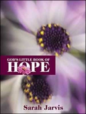 Image of God's Little Book of Hope other