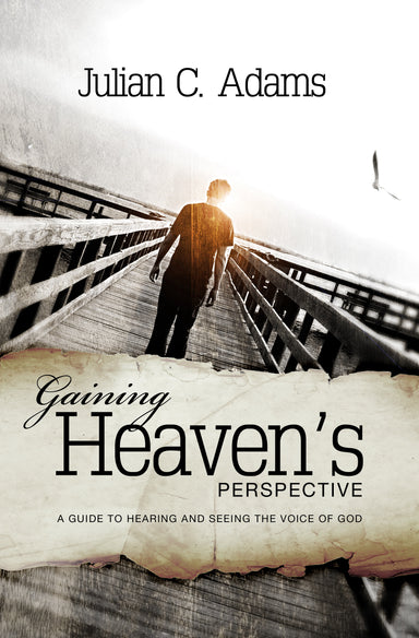 Image of Gaining Heaven's Perspective Paperback Book other