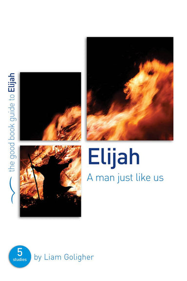 Image of Elijah : A man just like us other