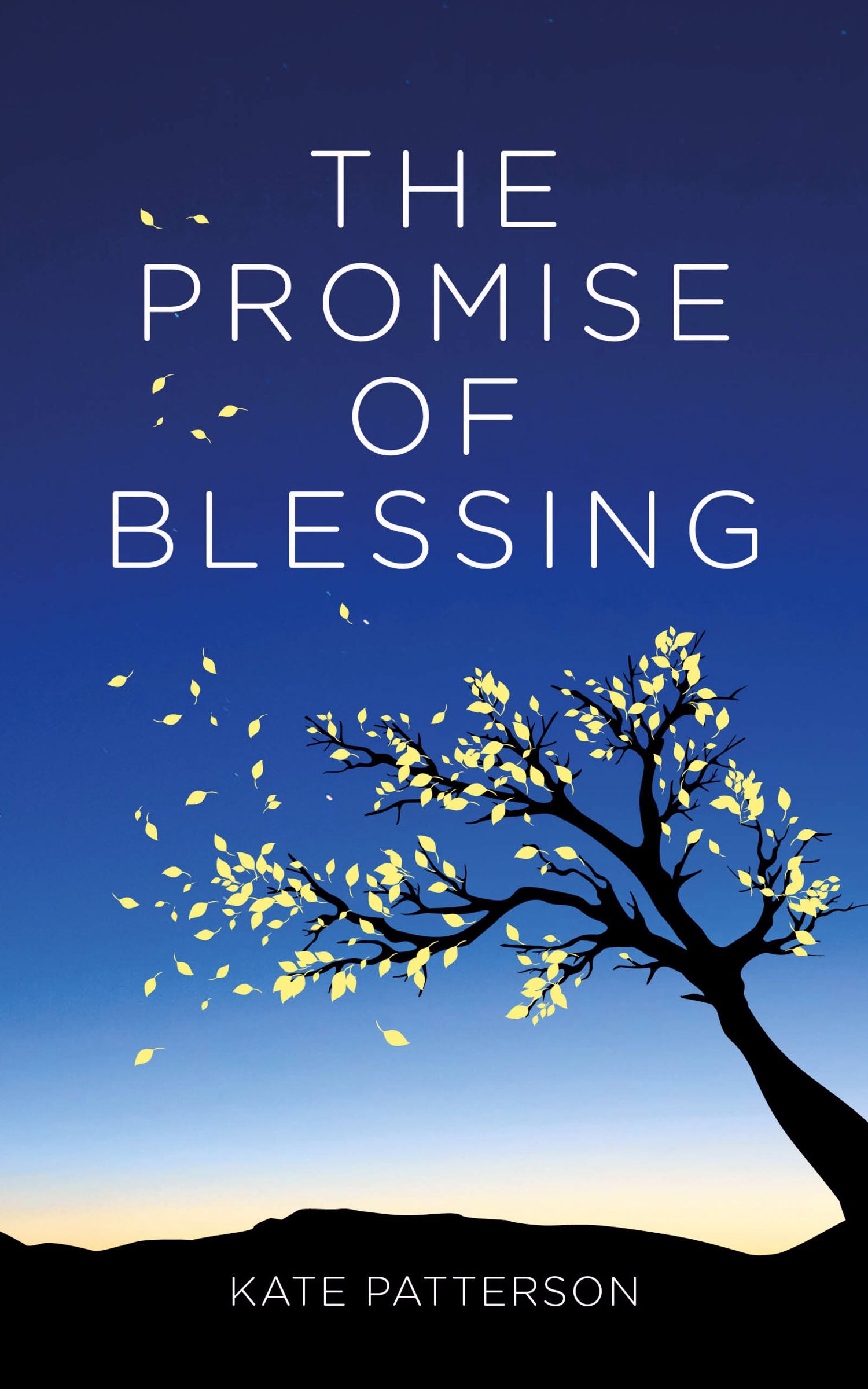 Image of The Promise of Blessing other