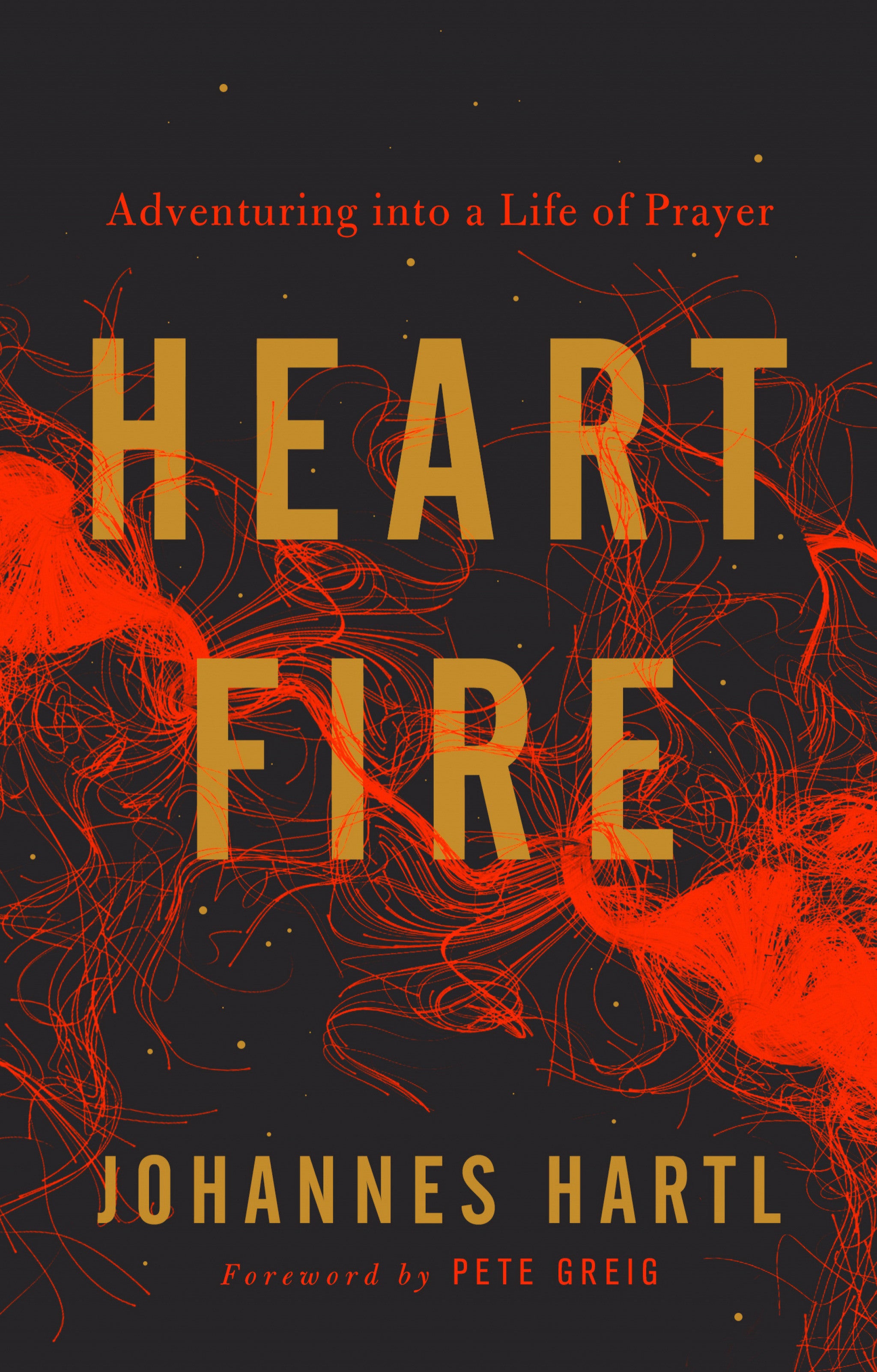 Image of Fire In My Heart other