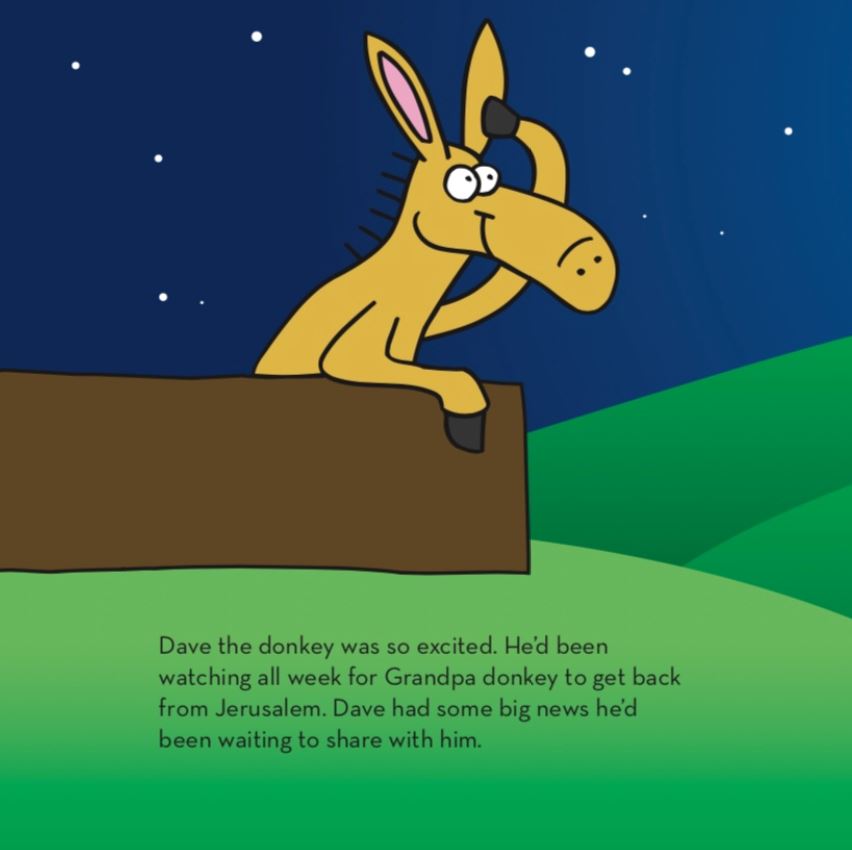 Image of Dave the Donkey other