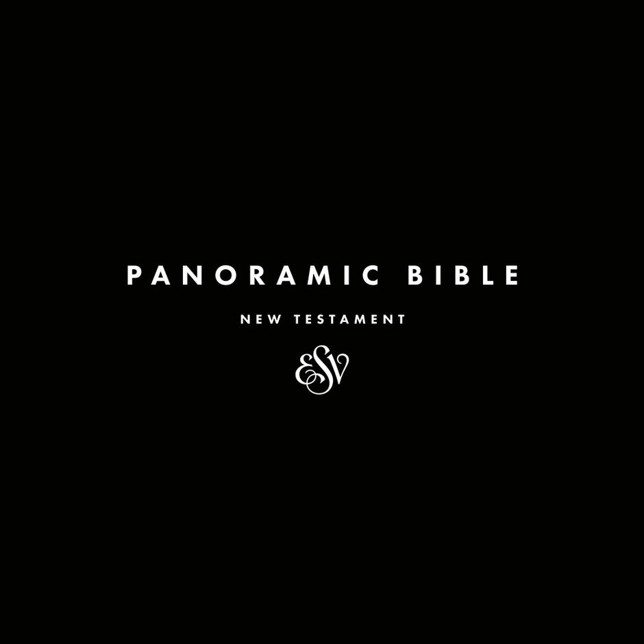 Image of Panoramic Bible New Testament other