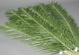 Image of 4 Foot Artificial Palm Branch other
