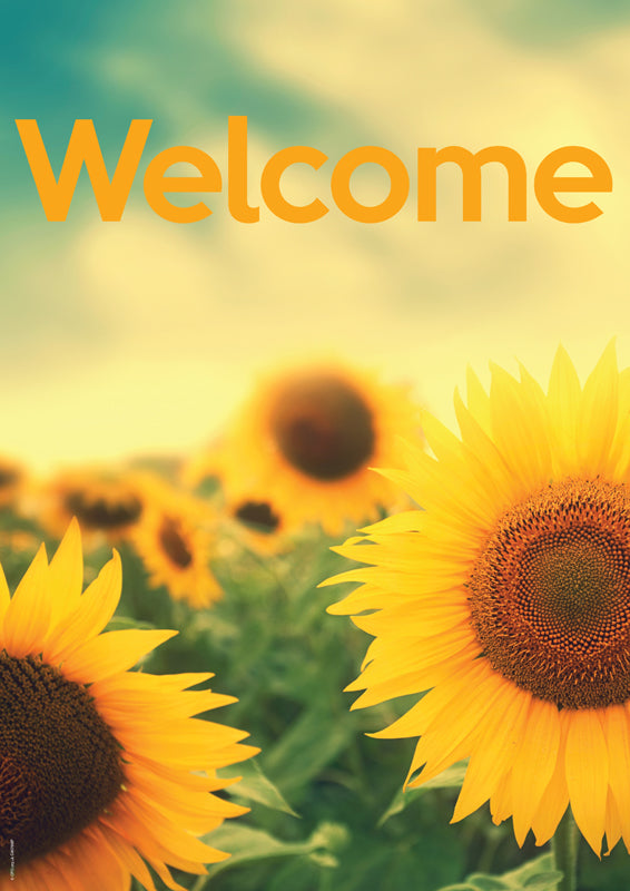 Image of Welcome Sunflower other