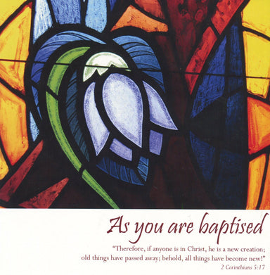 Image of As You are Baptised - Single Card other