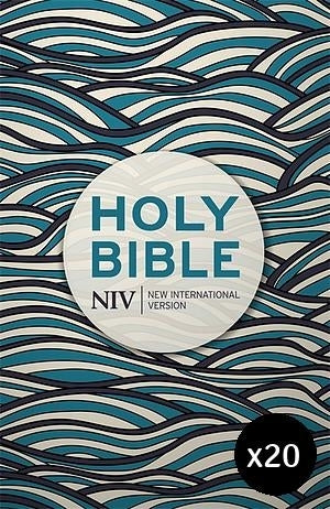 Image of NIV Economy Bible Bundle other